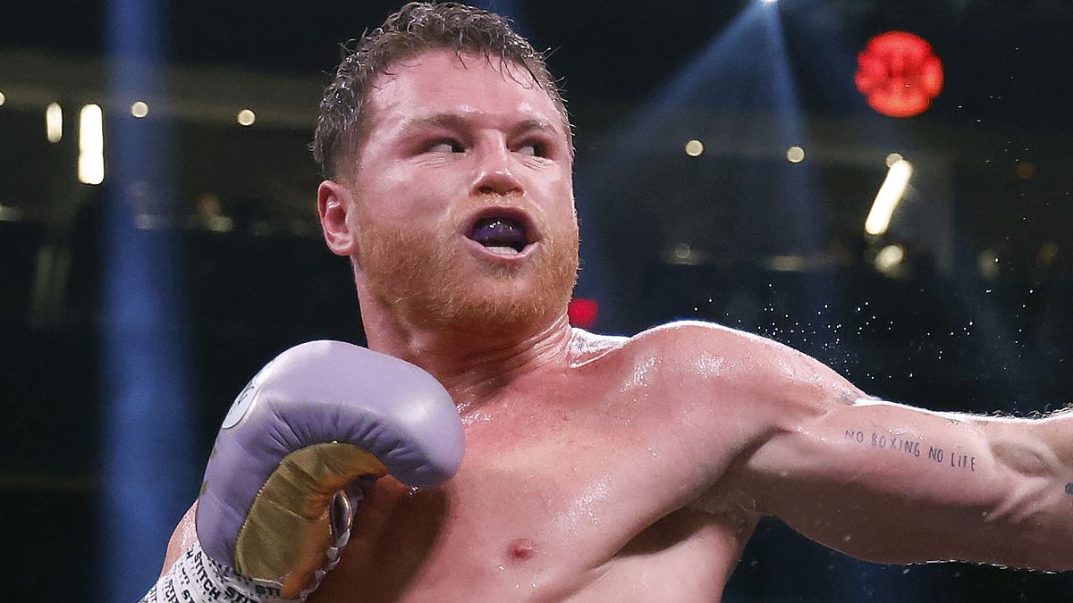 Experience the Thrill with a Live Boxing Stream Tonight