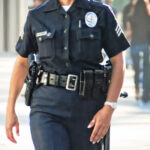 Assistant Law Officer Recruitment